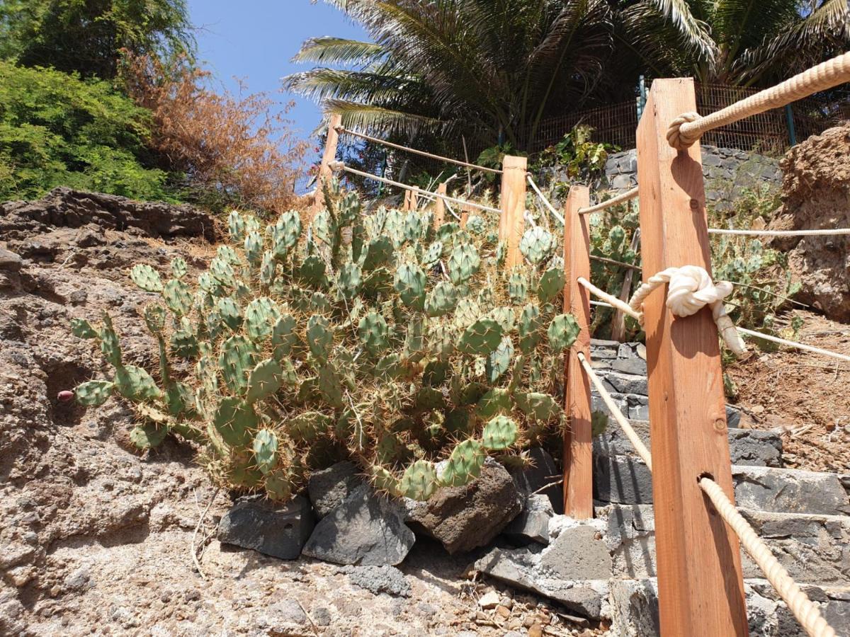 Cactus Guest House Cidade Velha ภายนอก รูปภาพ