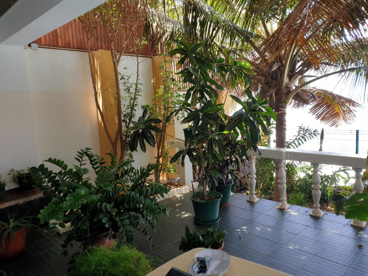 Cactus Guest House Cidade Velha ภายนอก รูปภาพ